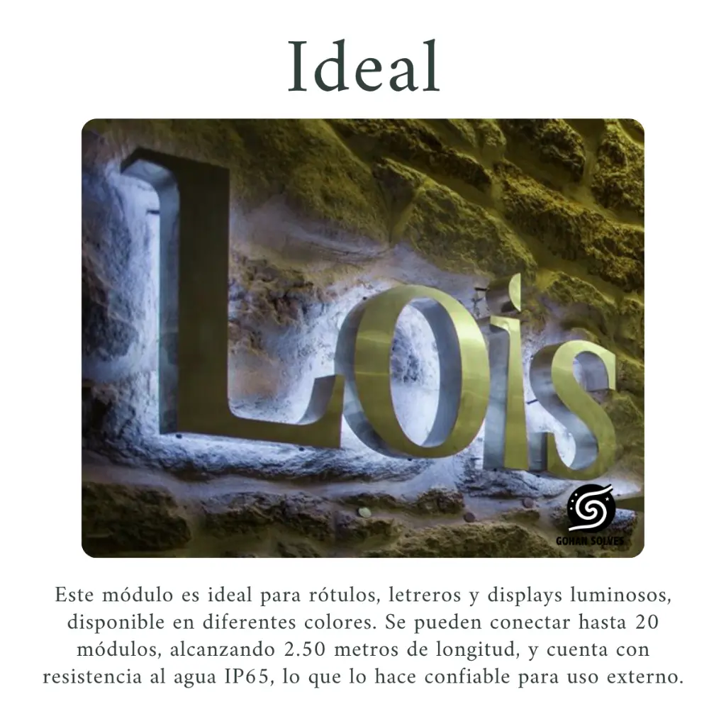 funcion ejemplo.webp