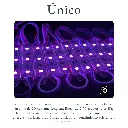 funcion ejemplo.webp