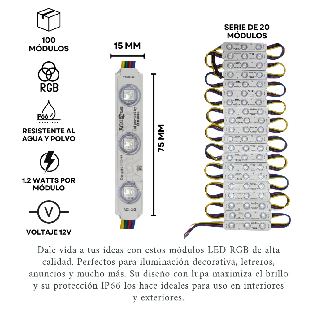 Medidas-Especificaciones 100 mod.webp